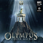 Olympus Choir Micro
