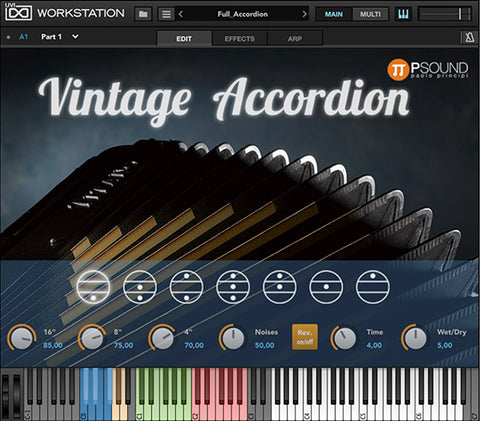 Vintage Accordion